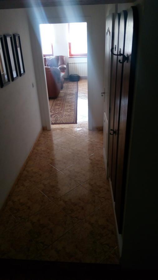 Apartment Zelezny Hrozen 瓦尔季采 外观 照片